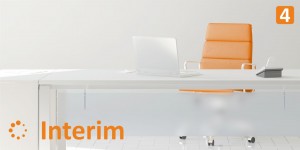 Interim Management Interim Manager