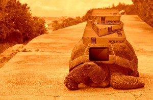 Amazon - aTurtle